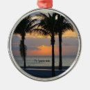 Search for united states christmas tree decorations Florida