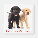 Search for hound puppy magnets Canine