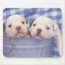 Search for bucket mousepads Bulldog