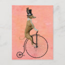 Search for bike on postcards Antique