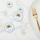 Search for cloud confetti Teddy bear baby shower