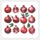 Search for pomegranate stickers Red fruit
