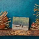 Search for danita delimont plaques Wyoming