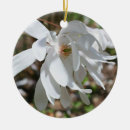 Search for magnolia flower christmas tree decorations White