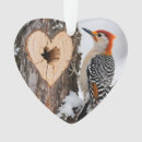 Search for hole christmas tree decorations Nature