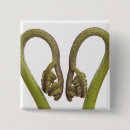 Search for fern badges Plants