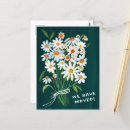 Search for daisy postcards Flowers