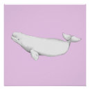 Search for beluga posters Whale
