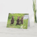 Search for brown bear cards Animal