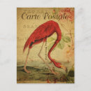 Search for vintage cartes postales Carte postale