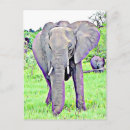 Search for mama africa postcards Animals