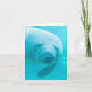 Search for manatee cards Endangered species