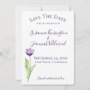 Search for tulip save Purple