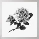 Search for vintage rose posters Botanical