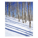 Search for grove posters Snow