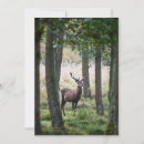 Search for red deer cards Nature