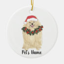 Search for pomeranian christmas tree decorations Watercolor