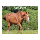 Search for horse calendars Farm