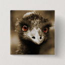 Search for portraiture badges Birds