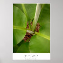 Search for tender posters Photography