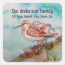 Search for sandpipers stickers Nature