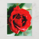 Search for february 14th invitations Valentine