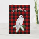 Search for snowy owl christmas cards Bird