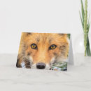 Search for red eyes cards Wildlife