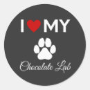 Search for chocolate lab stickers Pets
