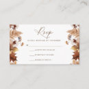 Search for fall foilage Elegant