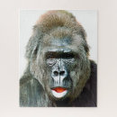 Search for gorilla puzzles Animals