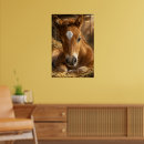 Search for cute foals posters Equestrian