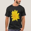 Search for cut vector Bright