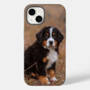 Search for bernese iphone cases Canine