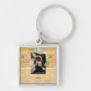Search for several key rings I can has cheezburger