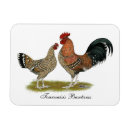 Search for poultry magnets Fowl