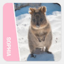 Search for animal photo stickers Australia
