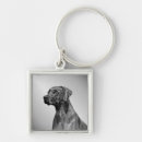 Search for loyal key rings Canine