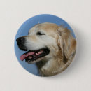 Search for headshot badges Canine photographer
