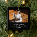 Search for calm christmas tree decorations Dog