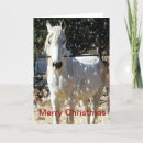 Search for arabian christmas cards Horse