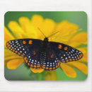 Search for flower spot mousepads Butterfly