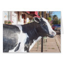 Search for cattle photography Moo