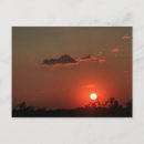 Search for biloxi postcards Sunset