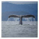 Search for motion tiles Outdoors