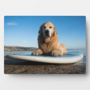 Search for dog photo display Beach