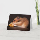 Search for syrian cards Pet