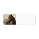 Search for arabian return address labels Equine