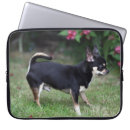Search for short sleeve electronics Chihuahua