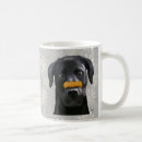 Search for nose mugs Black labrador